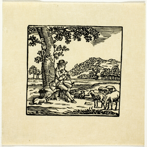 Book Illustration
