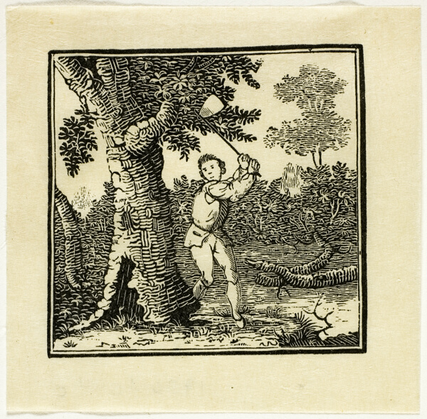 Book Illustration