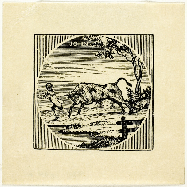 Book Illustration