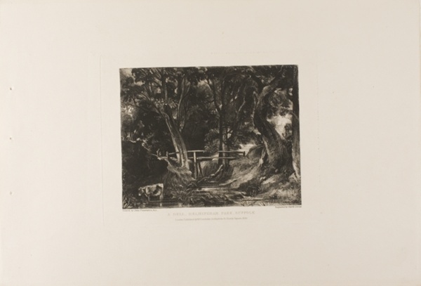 A Dell, Helmingham Park, Suffolk