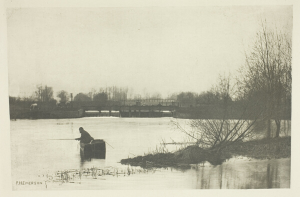 Field's Weir, Near Rye House