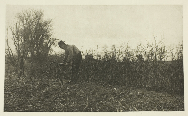 Fencing in Suffolk