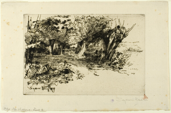 The Willows