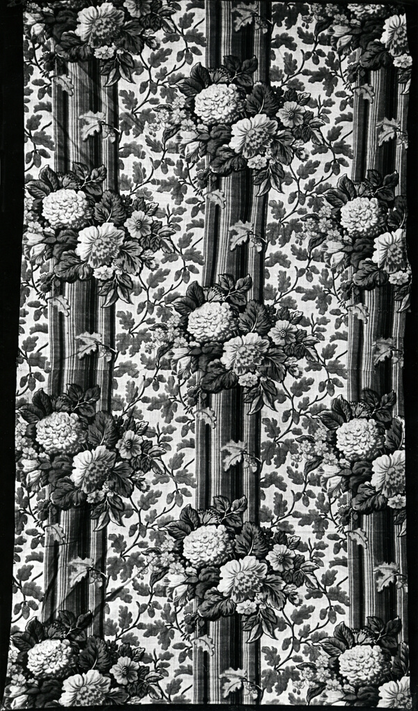 Panel