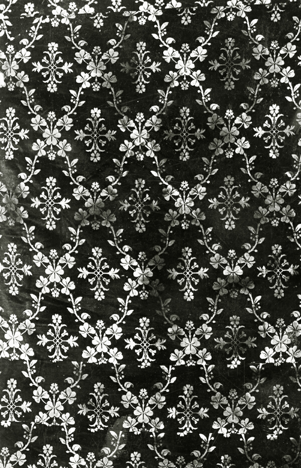 Panel