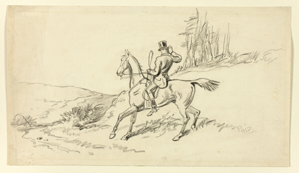 Rider Reining in Horse
