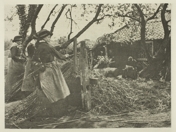Osier-Peeling (Norfolk)