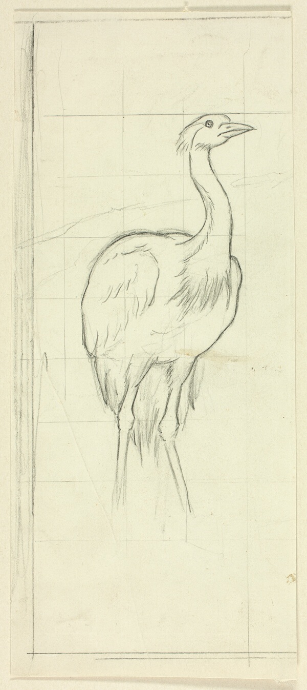Standing Bird