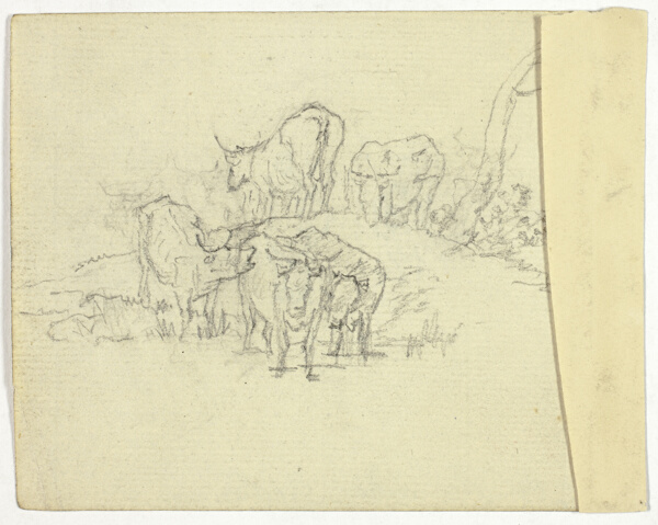 Cattle (recto); The Charlatan (verso)