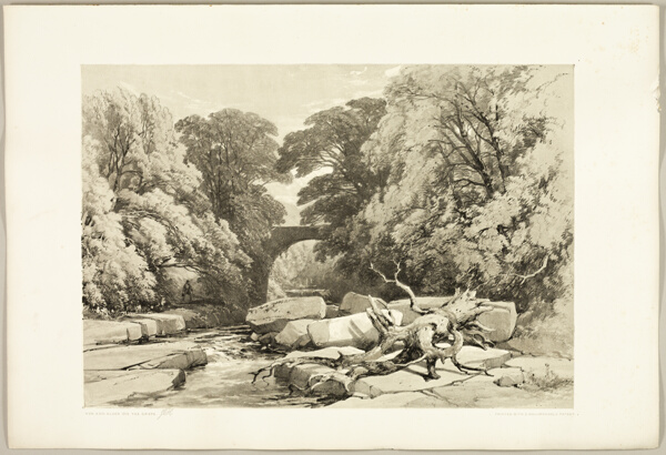 Ash and Alder on the Greta, from The Park and the Forest