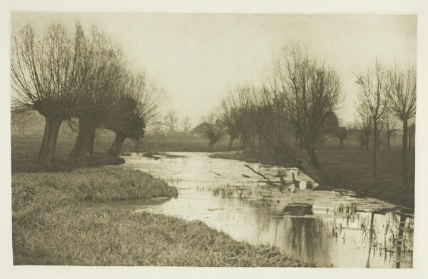A Backwater on the Lea
