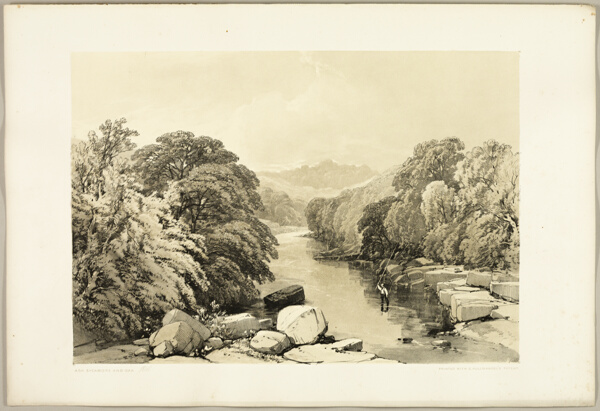 Ash, Sycamore and Oak, from The Park and the Forest