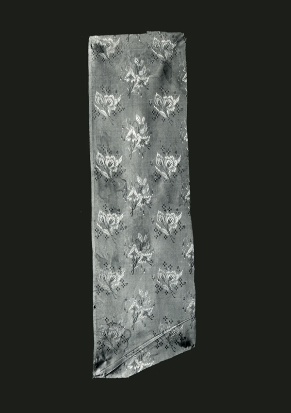 Panel