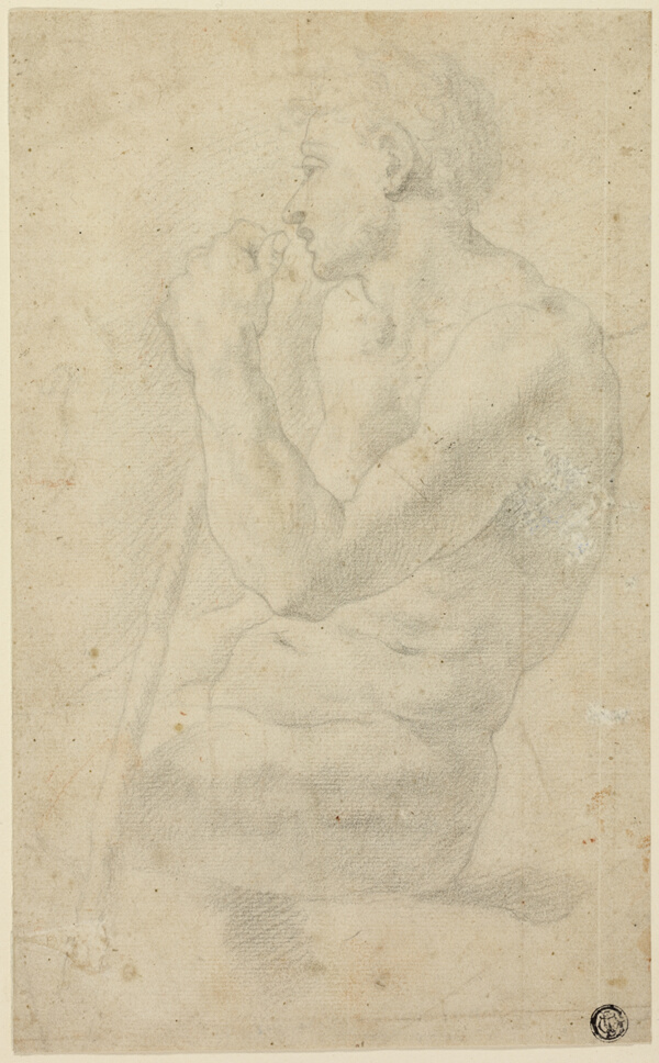 Academic Male Nude
