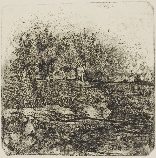 Trees in a Meadow