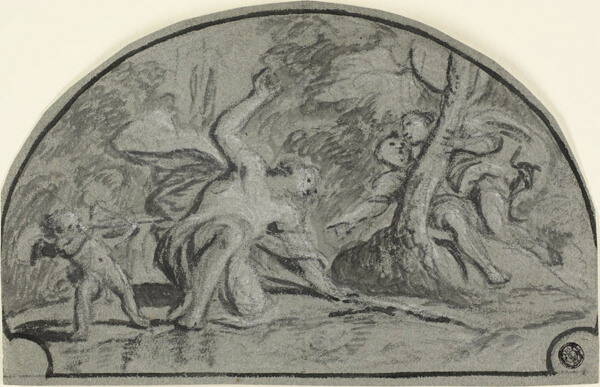 Narcissus