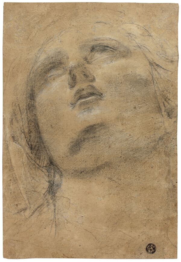 Head of the Virgin Looking Upwards