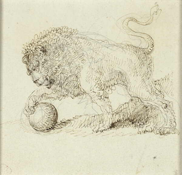 Lion with Ball