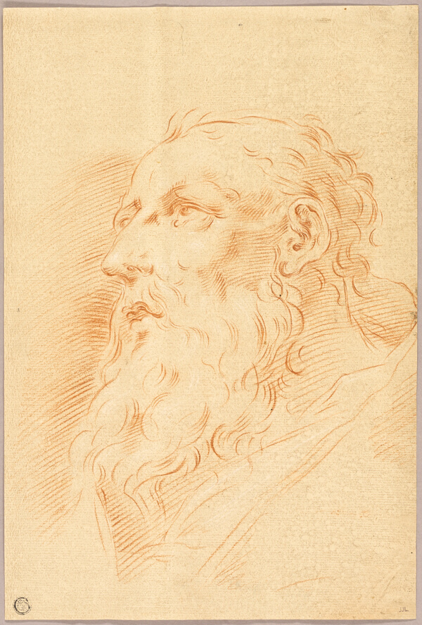 Head of Bearded Man