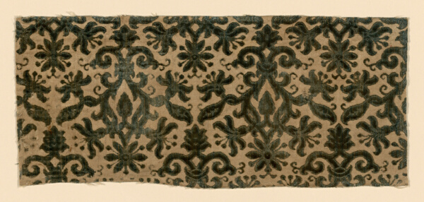 Fragment