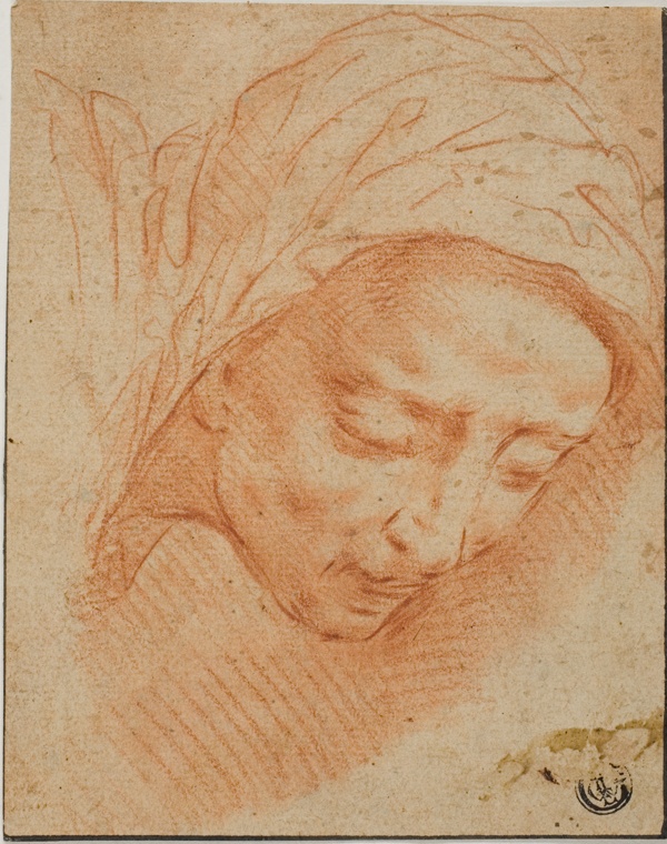 Woman's Head