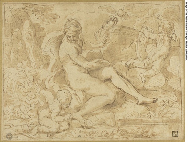 Study for the Origin of the Rose