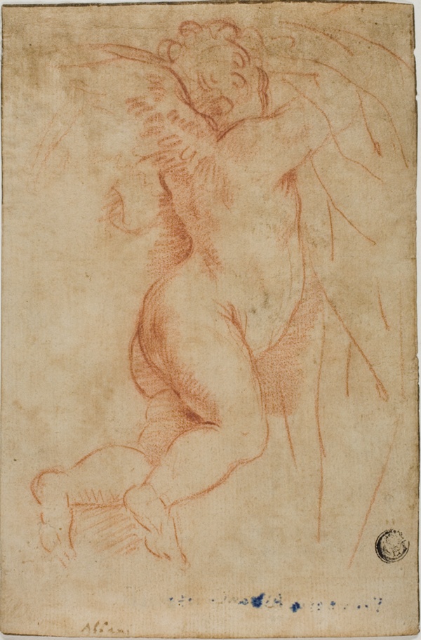 Putto Lifting Curtain (recto); Infant St. John (verso)