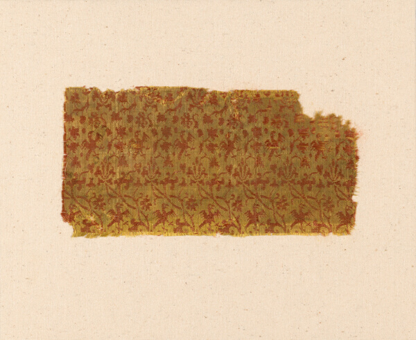 Fragment