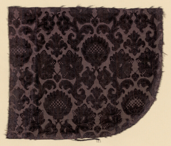 Fragment
