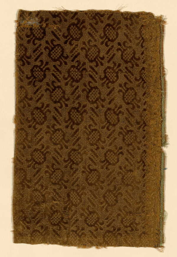 Fragment
