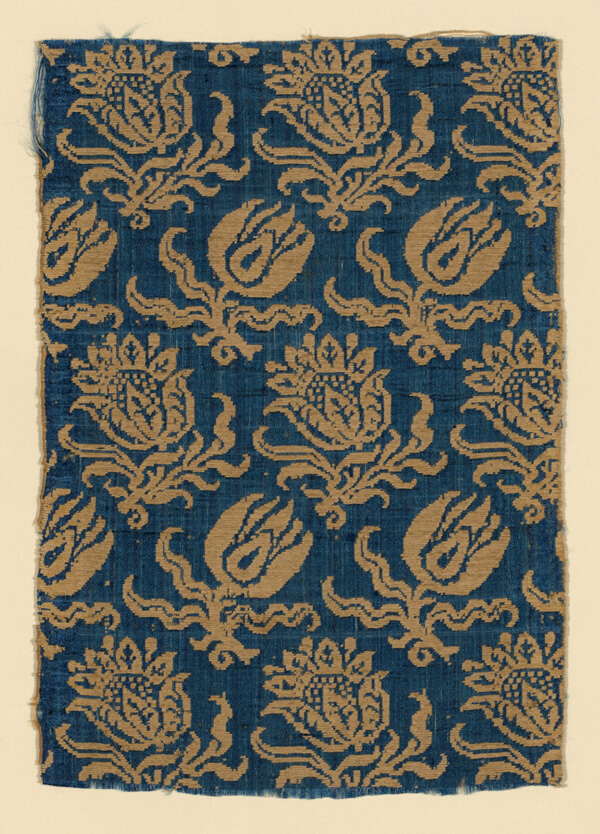 Fragment