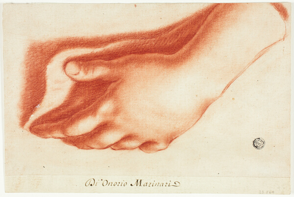 Plaster Cast of Left Hand