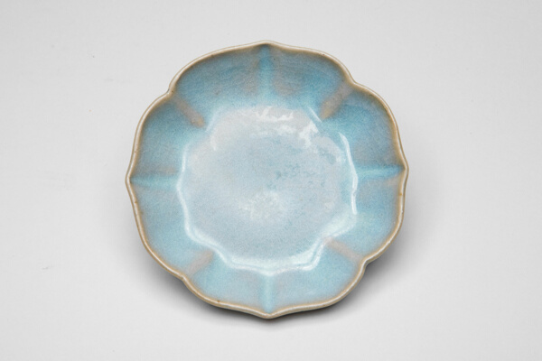 Bracket-Lobed Dish