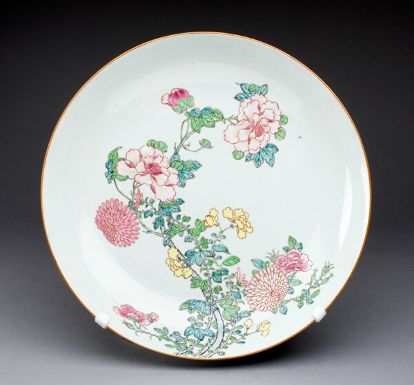 Dish