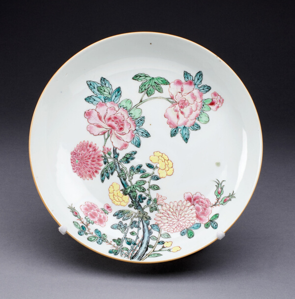 Dish