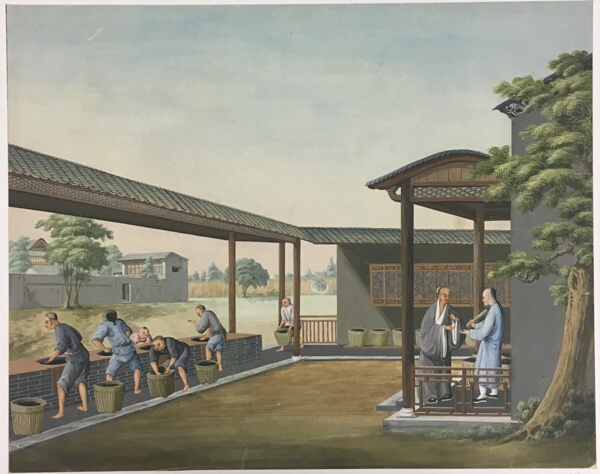Spinning Cloth, Preparing Tea Leaves, Preparing Silk