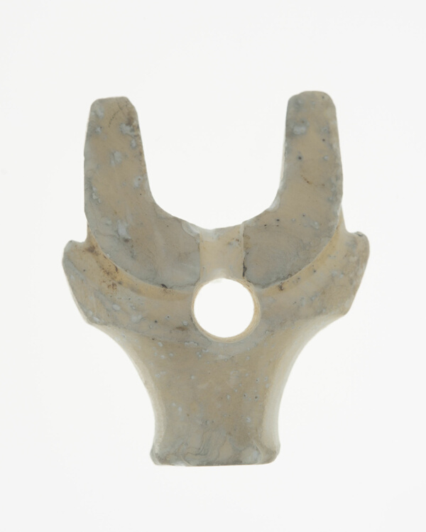 Pendant with Buffalo Head