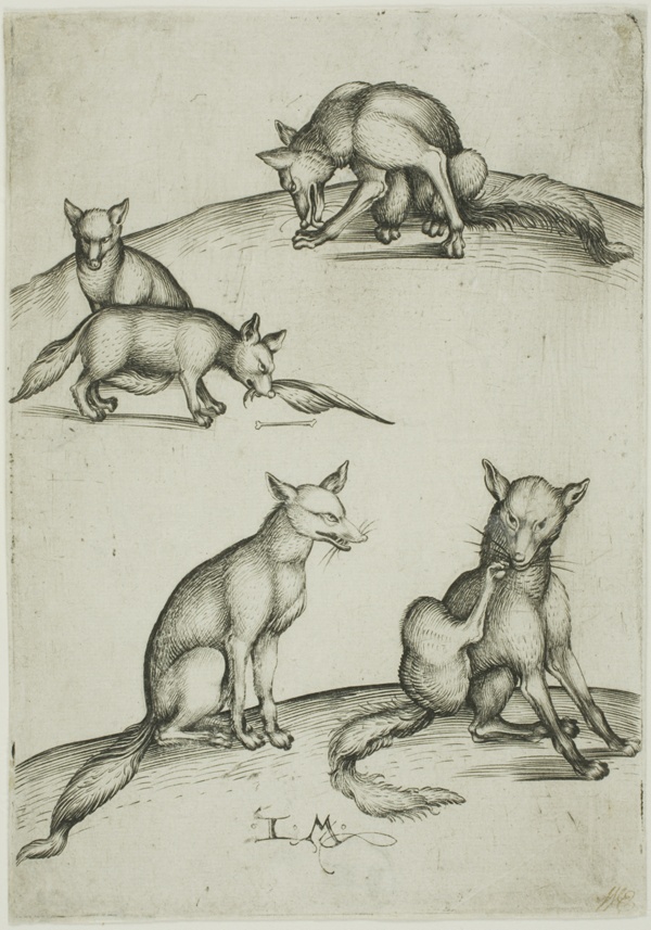 The Five Foxes