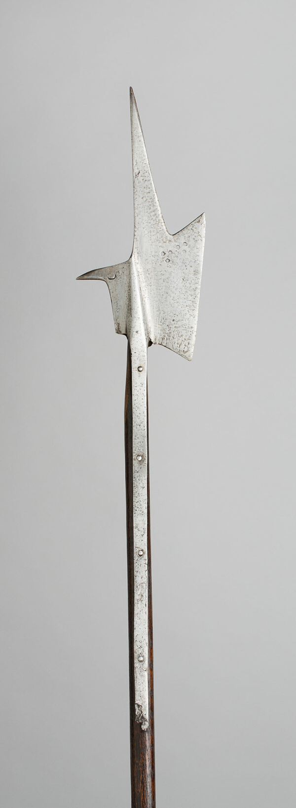 Halberd