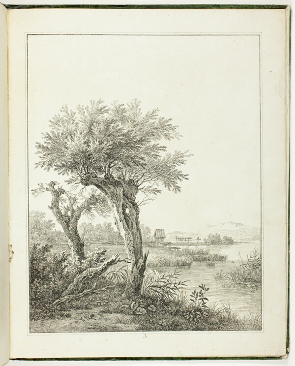 Studies of Trees for Beginning Landscape Artists (Baumstudien für Angehende Landschaftszeichner)