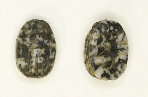 Scarab: Linear Motifs