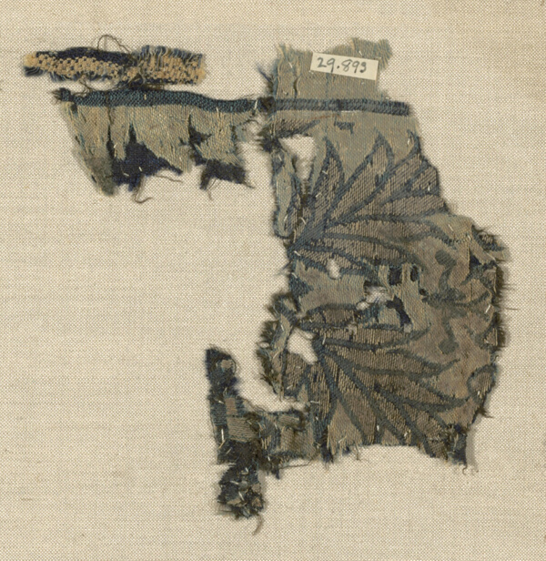 Fragment