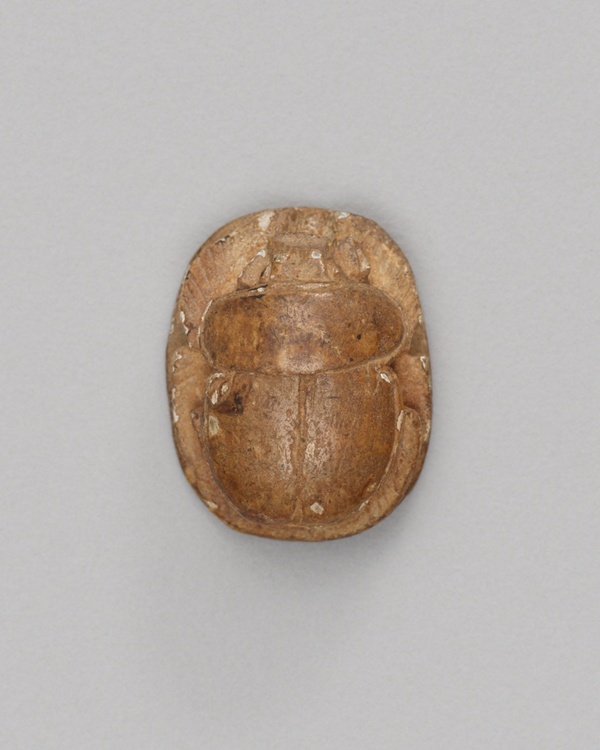 Scarab