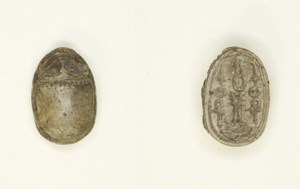 Scarab: Hieroglyphs (swt, nfr, Dd, anx, nb)