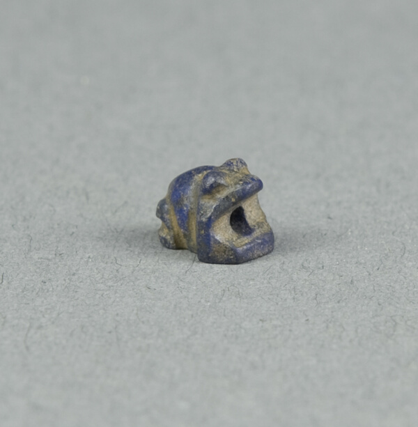 Scaraboid: Frog