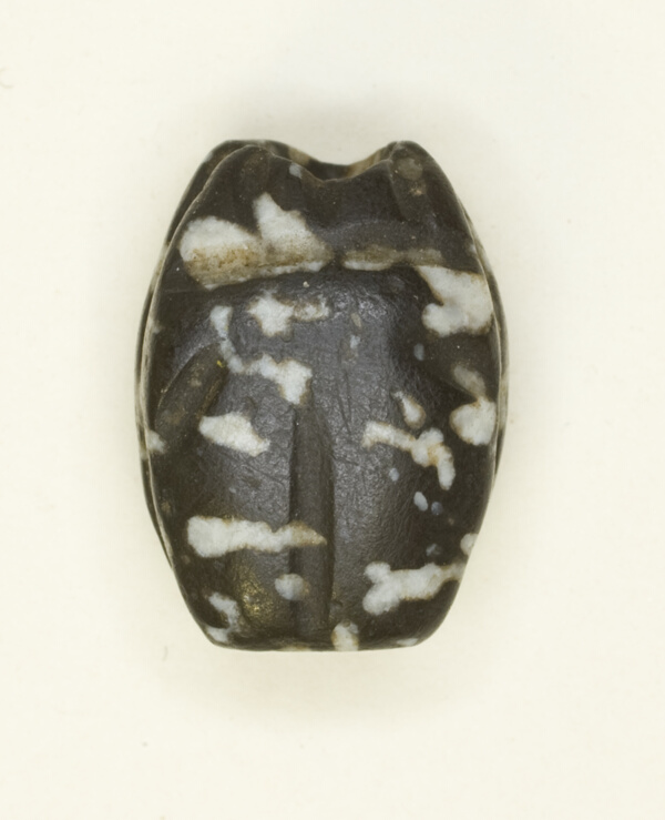 Scarab: Uninscribed