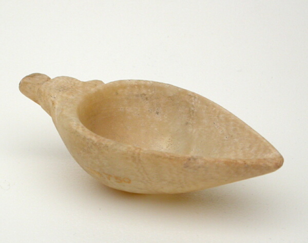 Dish