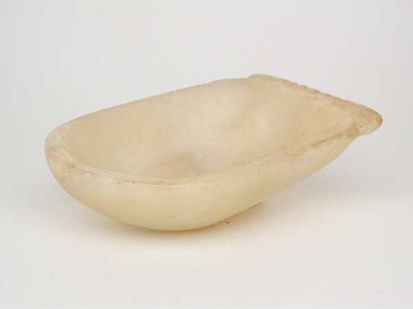 Dish