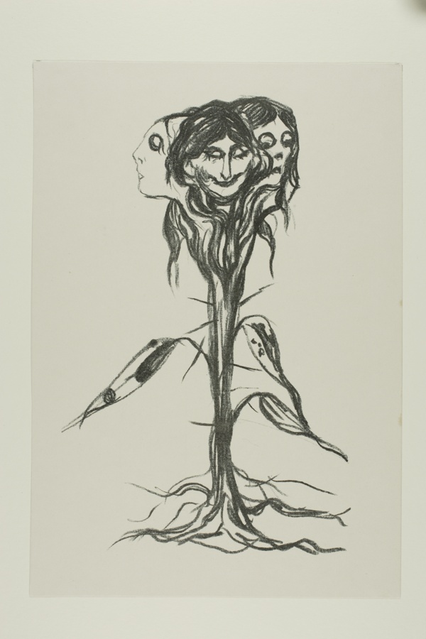 Vignette:Amaryllis