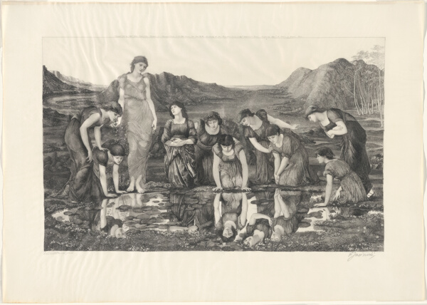 The Mirror of Venus